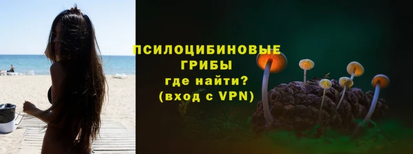 MESCALINE Аркадак