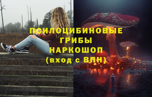 MESCALINE Аркадак