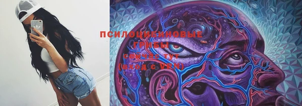 apvp Новокубанск