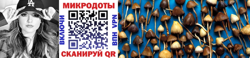 Галлюциногенные грибы MAGIC MUSHROOMS  darknet формула  Армянск  кракен ТОР 
